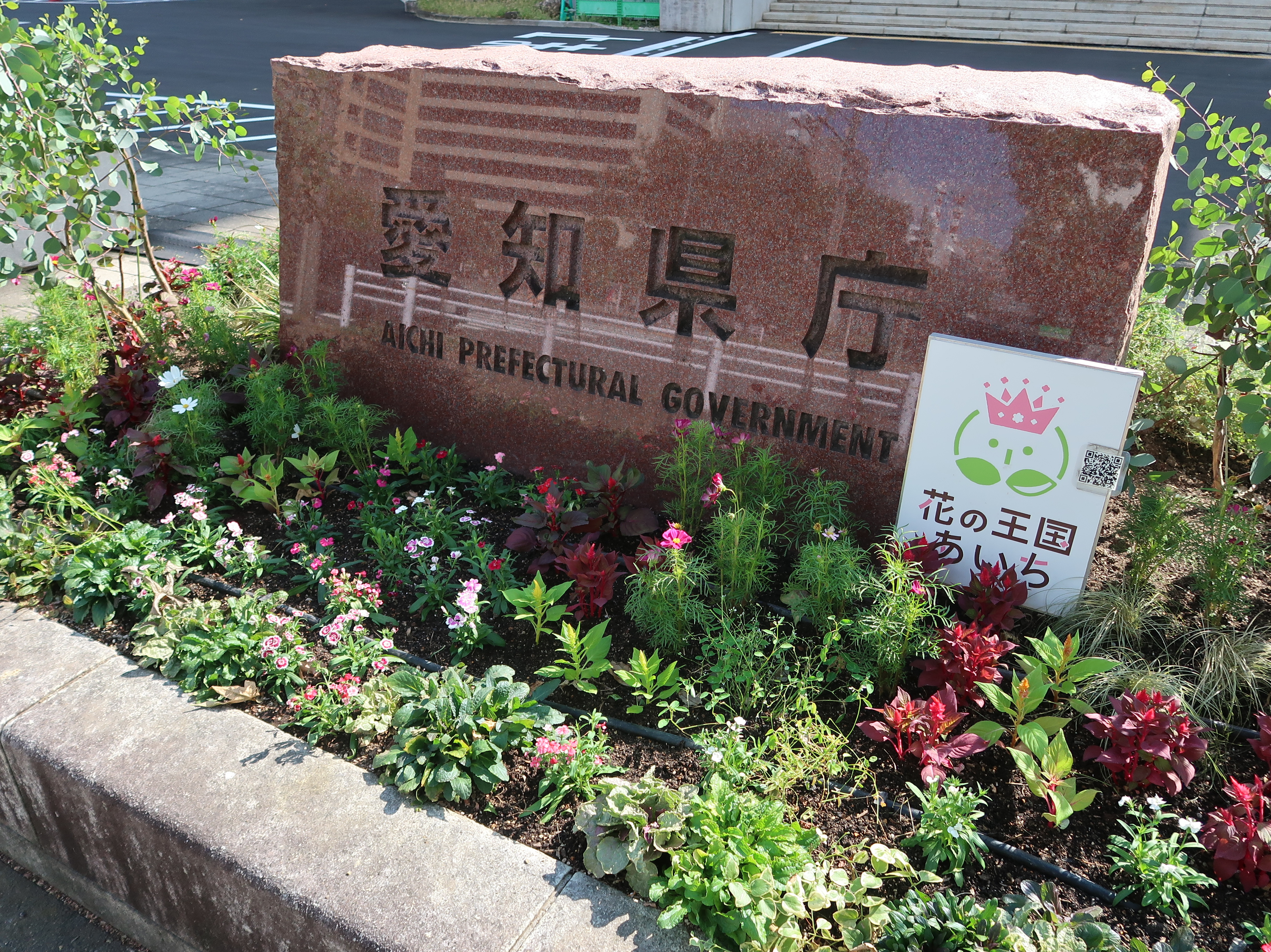 写真：県庁舎周辺